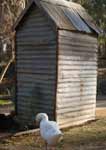 Wagga Wagga Zoo - Hotel Accommodation 2
