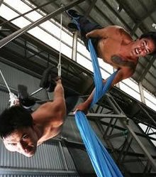 Sydney Trapeze School - Hotel Accommodation 2