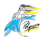 Polperro Dolphin Swims - Hotel Accommodation 0