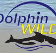 Dolphin Wild - Hotel Accommodation