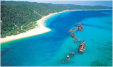 Dolphin Wild - Hotel Accommodation 3