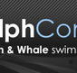 Dolphcom - Dolphin  Whale Swimming Adventures - Hotel Accommodation