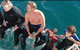 Dolphcom - Dolphin & Whale Swimming Adventures - thumb 2