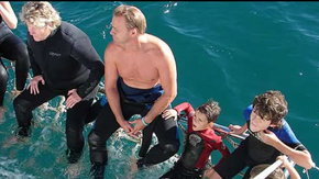 Dolphcom - Dolphin & Whale Swimming Adventures - Hotel Accommodation 2