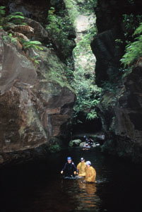 High And Wild Mountain Adventures - Hotel Accommodation 1