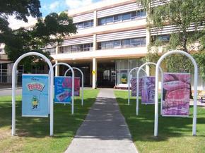 Cadbury Chocolate Factory Tour - Hotel Accommodation 2