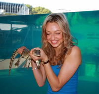Crocosaurus Cove - Hotel Accommodation