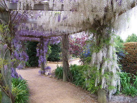 Abingdon Miniature Village - Hotel Accommodation 0