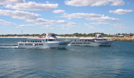 Mills Charters Fishing And Whale Watch Cruises - Hotel Accommodation 2