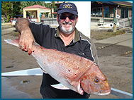 Odyssey Charters - Hotel Accommodation 1