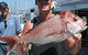 Sunshine Coast Fishing Charters - thumb 2