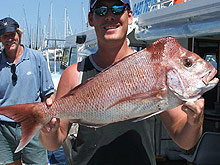 Sunshine Coast Fishing Charters - Hotel Accommodation 2