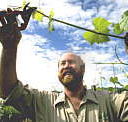 Barossa Experience Tours - Hotel Accommodation