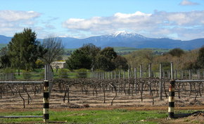 Buller View Wines - Hotel Accommodation 0