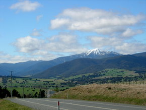 Buller View Wines - Hotel Accommodation 2