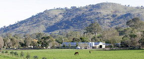Blue Gum Farm - Hotel Accommodation 1
