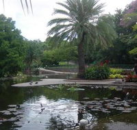 Brisbane City Botanic Gardens - Hotel Accommodation