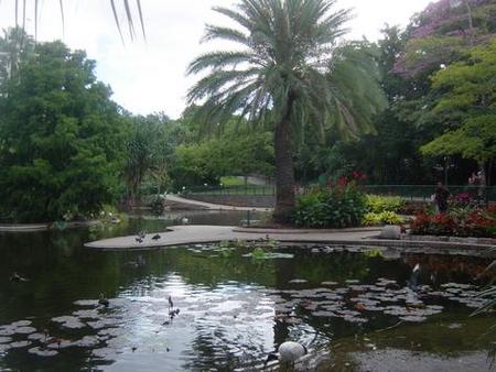 Brisbane City Botanic Gardens - Hotel Accommodation 0