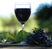 Lion Mill Vineyards - Hotel Accommodation