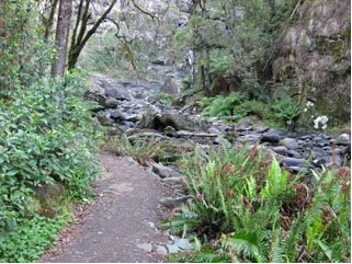 Stevensons Falls - Hotel Accommodation 1