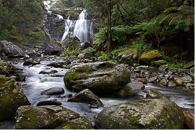 Stevensons Falls - Hotel Accommodation 2