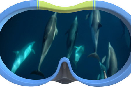 Dolphin Swim Australia - Hotel Accommodation 3