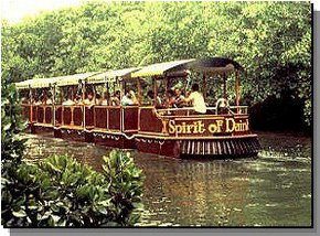 Daintree Rainforest River Trains - Hotel Accommodation 0