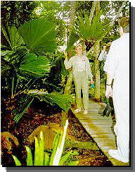 Daintree Rainforest River Trains - Hotel Accommodation 1