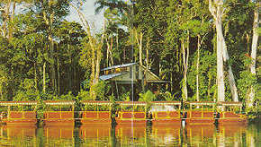 Daintree Rainforest River Trains - Hotel Accommodation 3