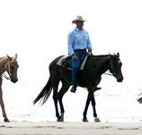 Ride the Beach - Hotel Accommodation