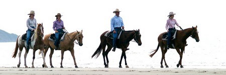 Ride The Beach - Hotel Accommodation 0