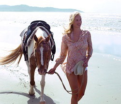 Ride The Beach - Hotel Accommodation 3