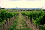 Link Tours - Hotel Accommodation 2