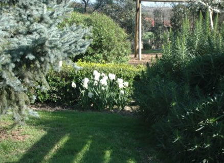 The Old Cheese Factory - Hotel Accommodation 2