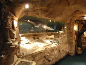 The National Opal Collection - Hotel Accommodation 2
