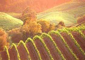 Meridian Tours - Hotel Accommodation 2