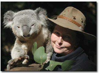 Koala Park Sanctuary - Hotel Accommodation 2
