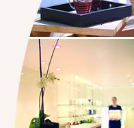 Lyall Hotel and Spa - Hotel Accommodation