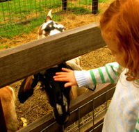 Collingwood Children's Farm - Hotel Accommodation