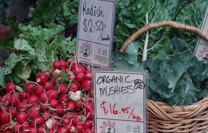 Collingwood Children's Farm - Hotel Accommodation 1