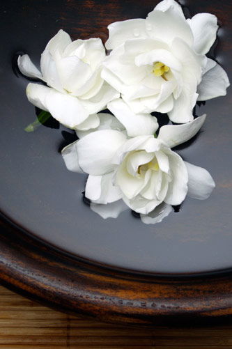 Temple Skincare - Hotel Accommodation 2