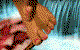 Cove Spa - thumb 6