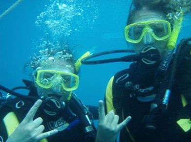 Snorkel Safari Brisbane - Hotel Accommodation 5