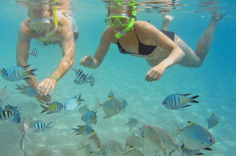 Australian Kayaking Adventures - Hotel Accommodation 2