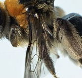 Western Australian Museum - Hotel Accommodation