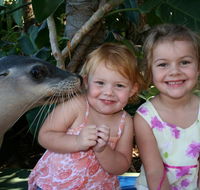 Dolphin Marine Magic - Hotel Accommodation