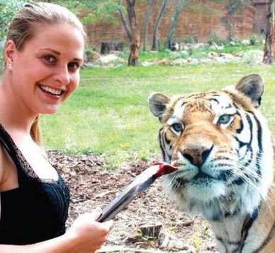 National Zoo & Aquarium - Hotel Accommodation 4