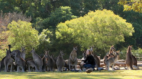 Lone Pine Koala Sanctuary - Hotel Accommodation 1
