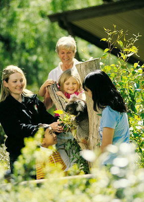 Cleland Wildlife Park - Hotel Accommodation 5