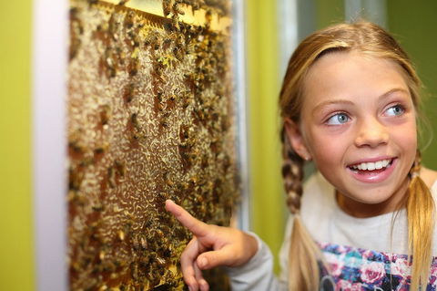 The Ginger Factory - Hotel Accommodation 8